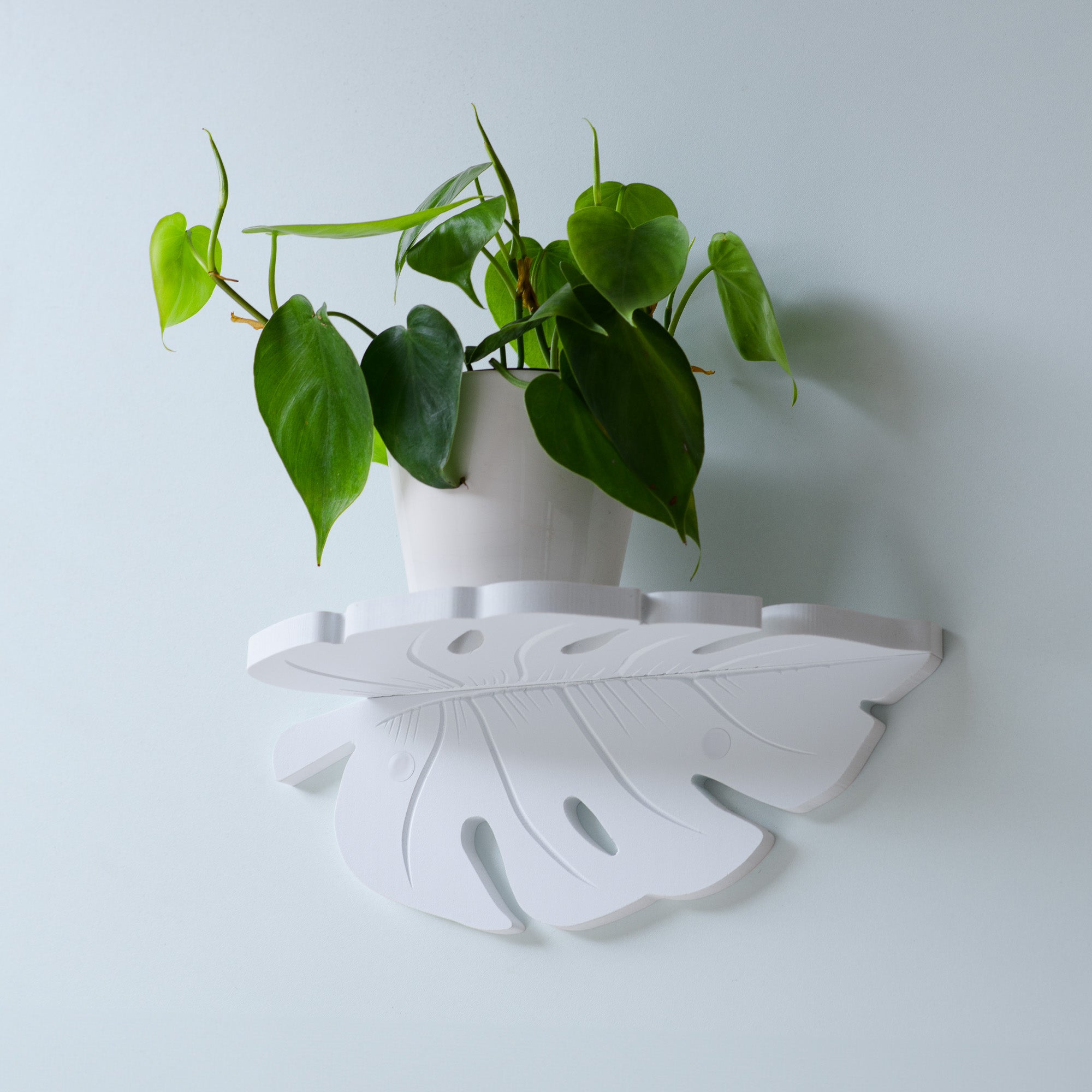 Monstera Leaf Shelf - 12"