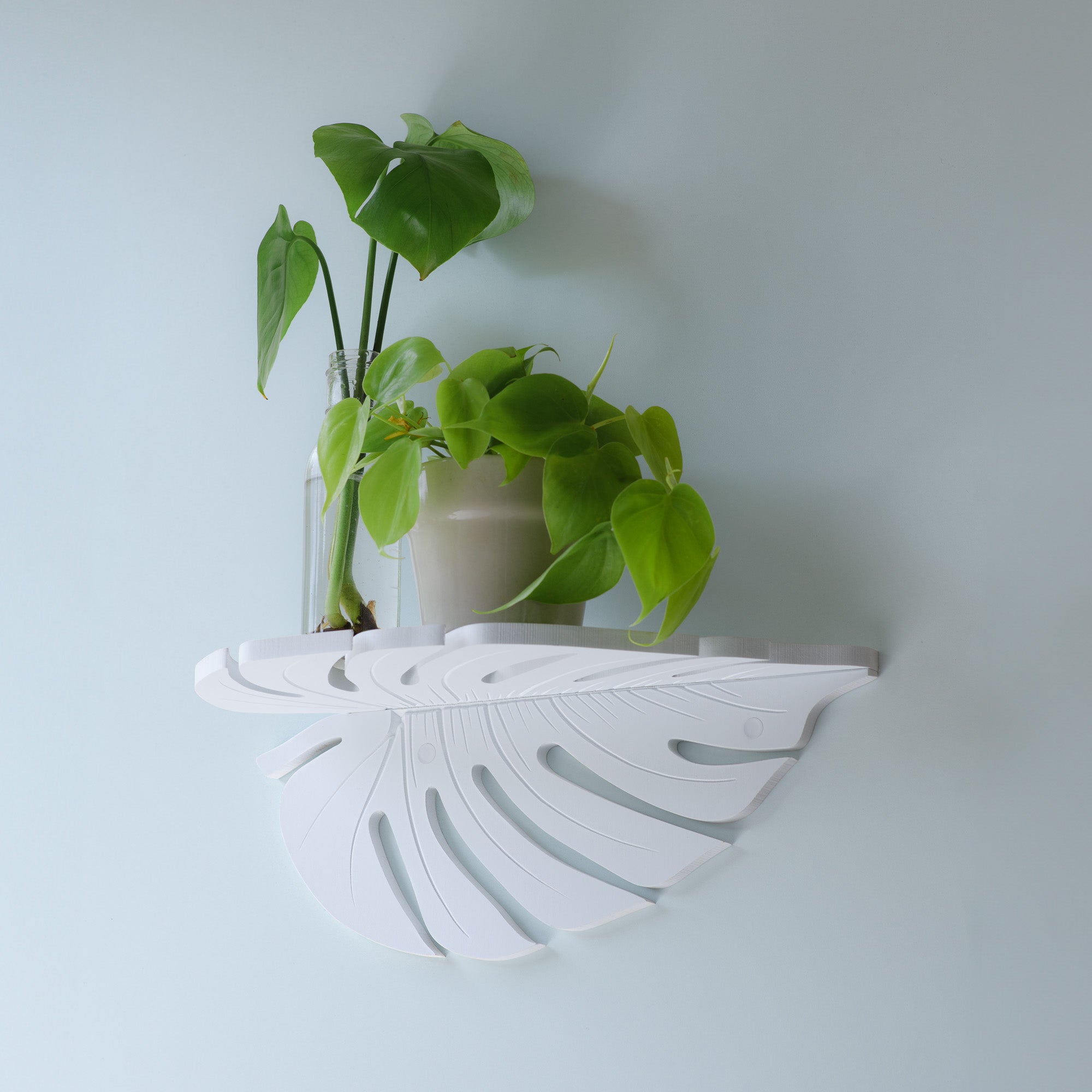 Monstera Leaf Shelf - 17"