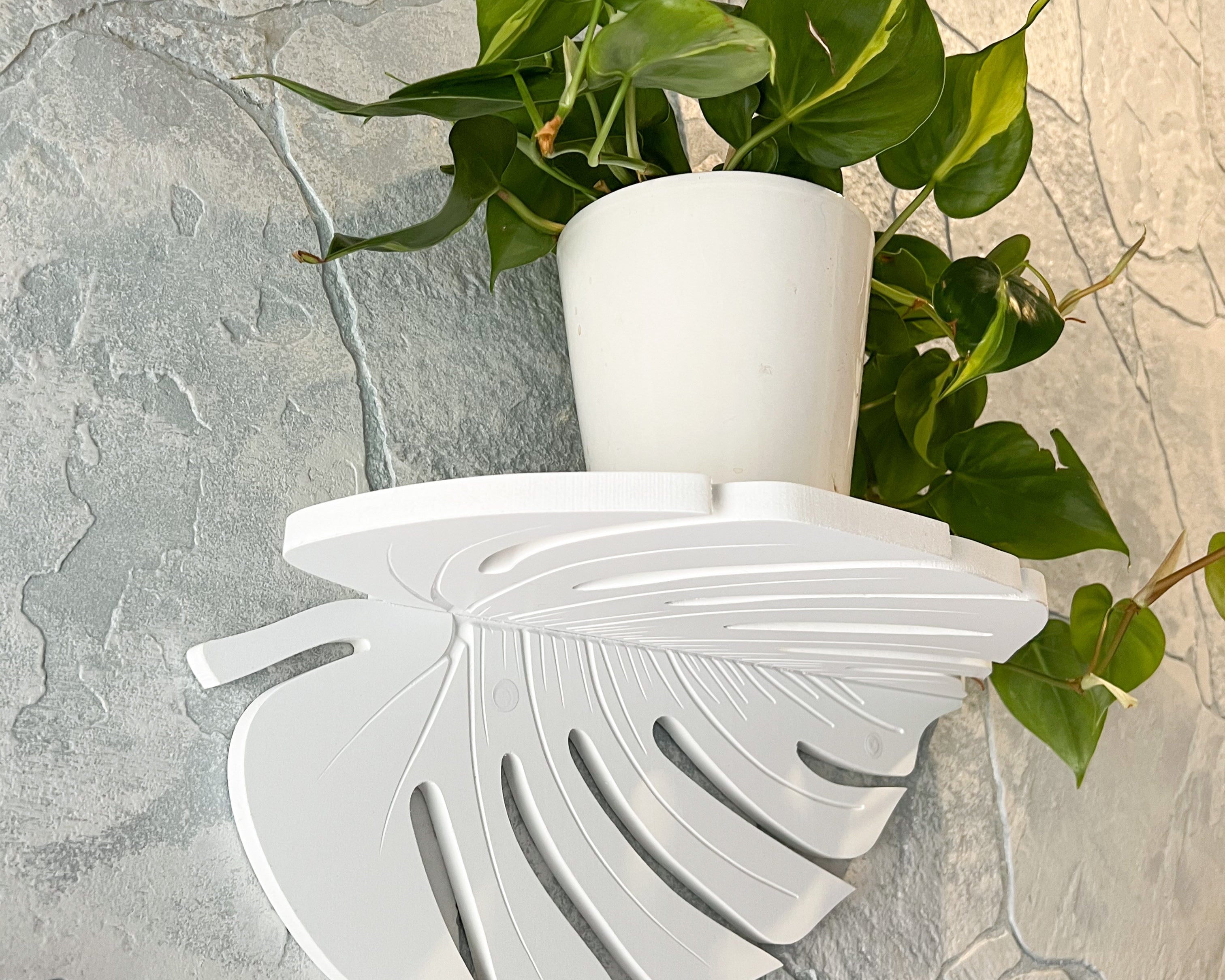 White wall-mounted monstera leaf shelf with a green plant against a stone wall background