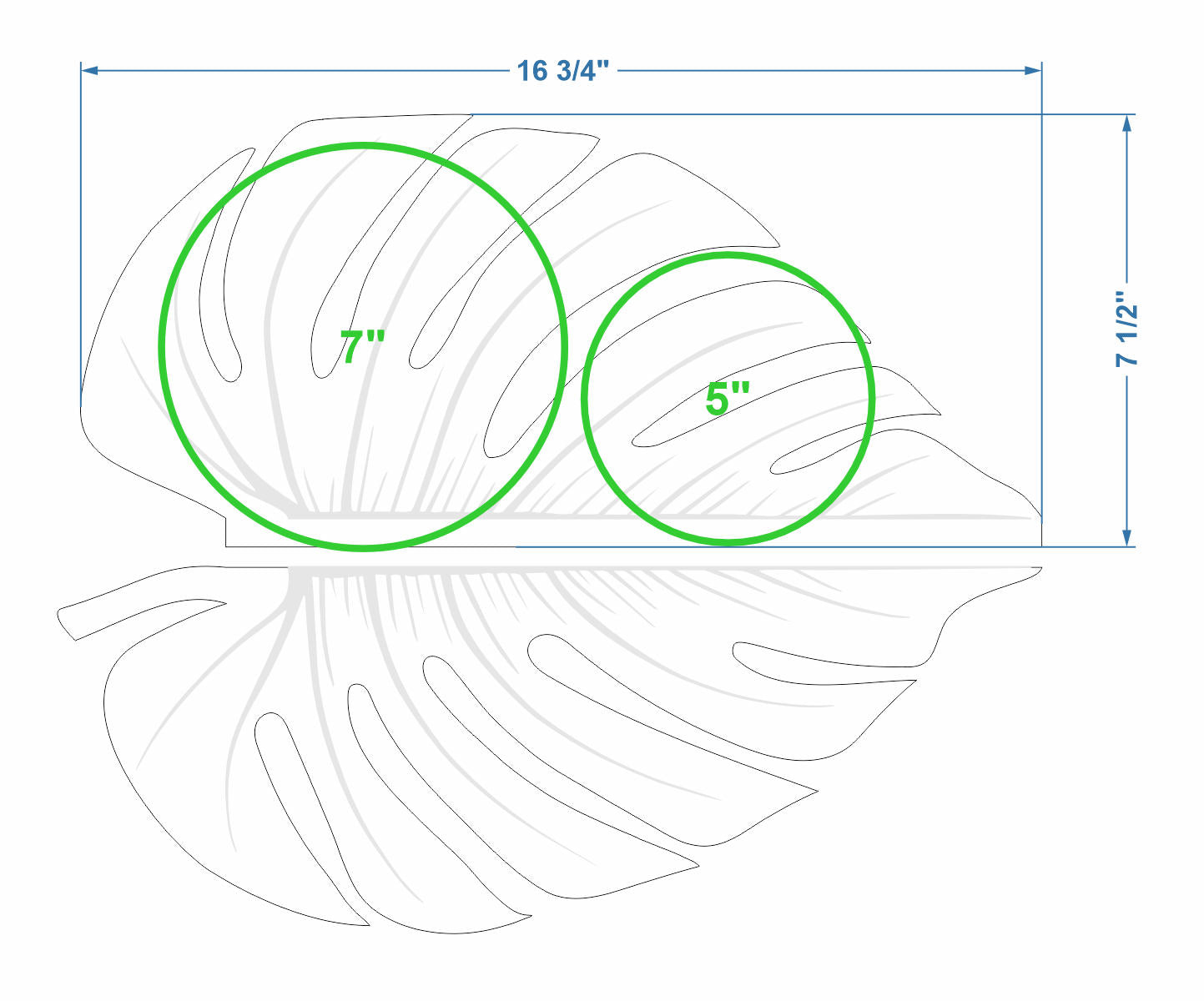 Monstera Leaf Shelf - 17"